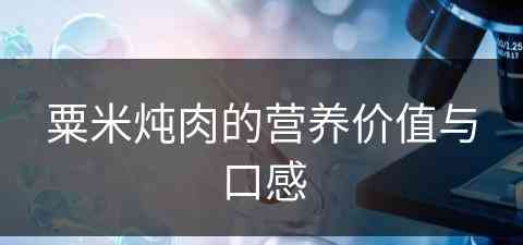 粟米炖肉的营养价值与口感(粟米炖肉的营养价值与口感介绍)